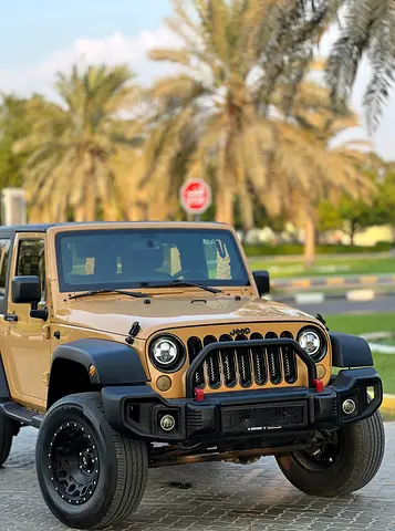 2014 JEEP WRANGLER — миниатюра 10