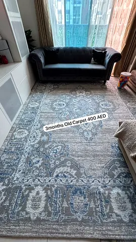 Light Blue-Grey Large Area Rug - 3 Months Old