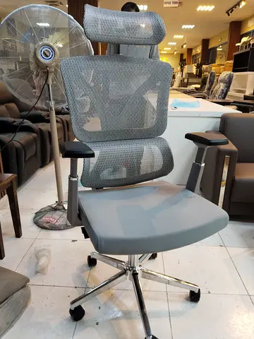 Grey Ergonomic Mesh Office Chair with Headrest and Adjustable Arms
