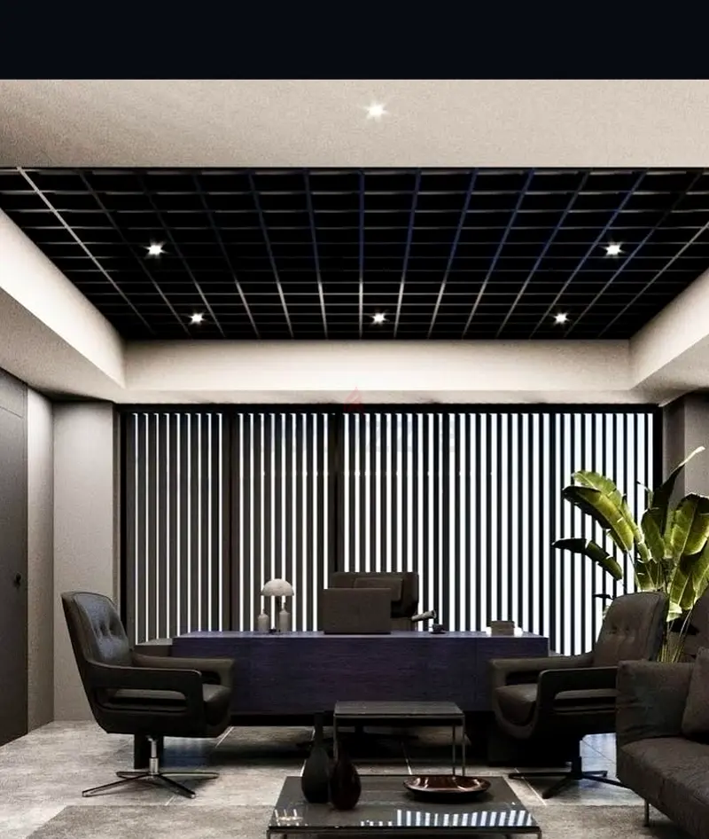 DPV_View_Image_5