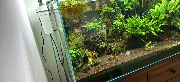 Crystal clear Aquarium