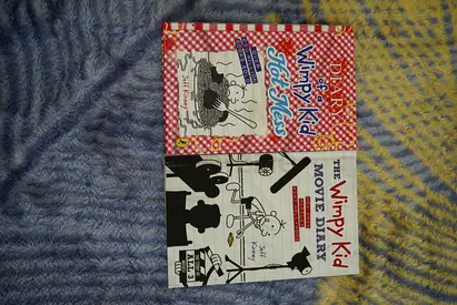 Diary of a Wimpy Kid (Movie Diary)  Wimpy Kid (Hot Mess)