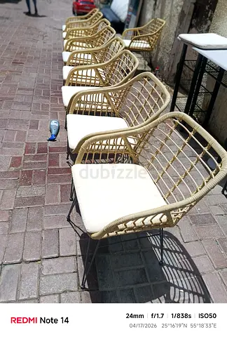 Set of 6 Wicker/Rattan Dining Chairs with Cushions