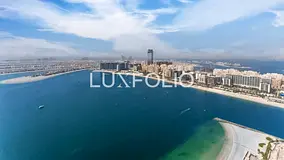 Full Palm View | Viewing Available | High Floor