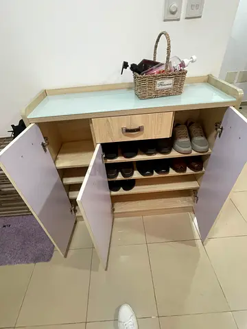 Shoe organizer/cabinet