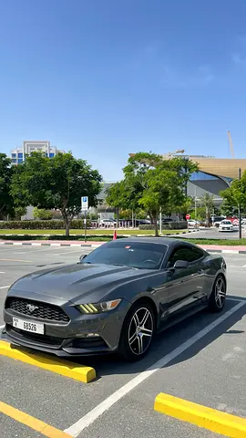 Ford Mustang V6 2017 - American Specs