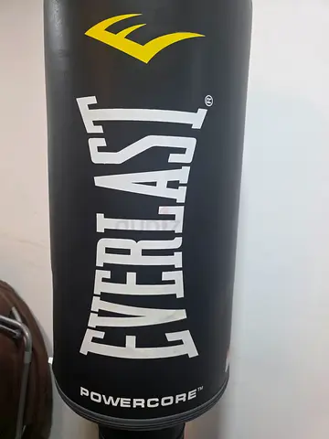 Everlast power bag/kickboxing stand