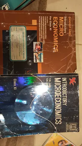 Grade 11 commerce textbooks