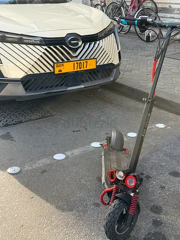 Sky winner E10 Electric scooter