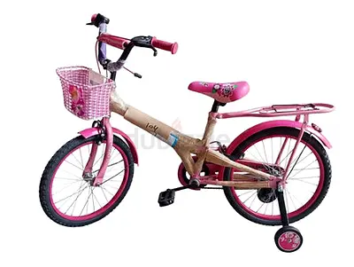 BSA Girls Bicycle 20
