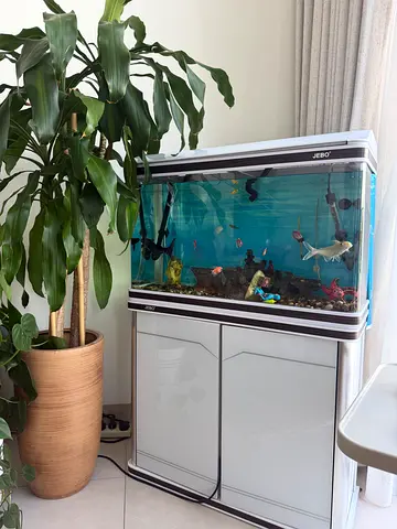 Fish tank for sale with all equipment