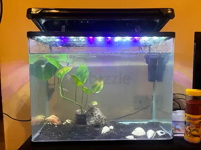Fish tank for sale