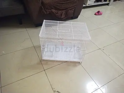 Bird cage