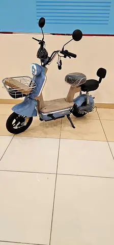 Electric Card remote key scooter with 2 seats