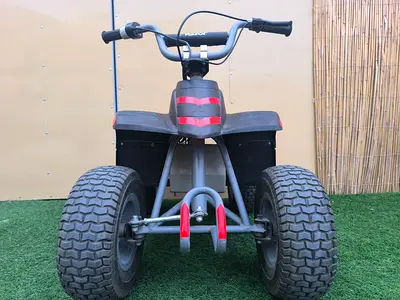 Kids Electric Quad Dirt Bike
