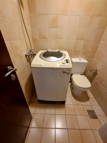 Top-Load Washing Machine - Compact, Works Fine