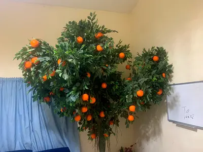 Large Artificial Orange Tree with Fruit - Decorative Indoor Plant