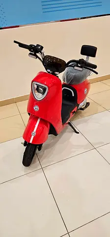 Electric scooter 500 w with warranty
