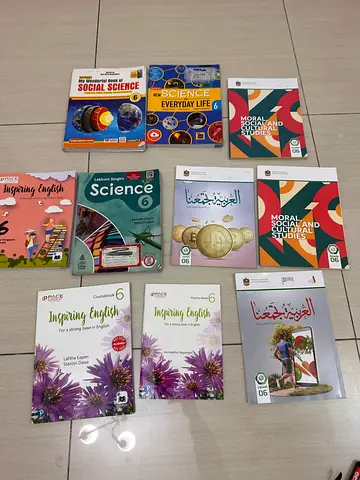 grade 6 books iiss for sale