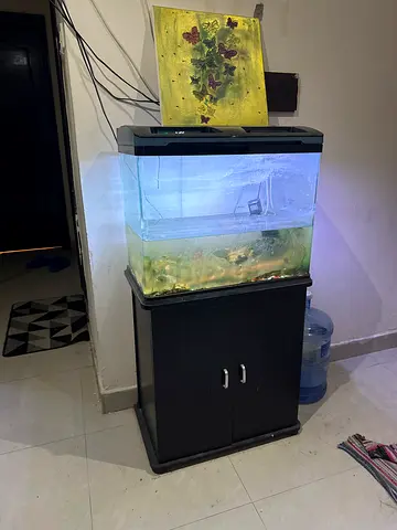 Aquarium with Cabinet Stand - Ready for Setup