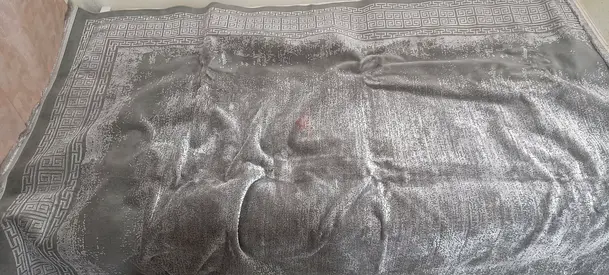 Soft Grey Plush Area Rug - 210x150 cm (approx), Gently Used