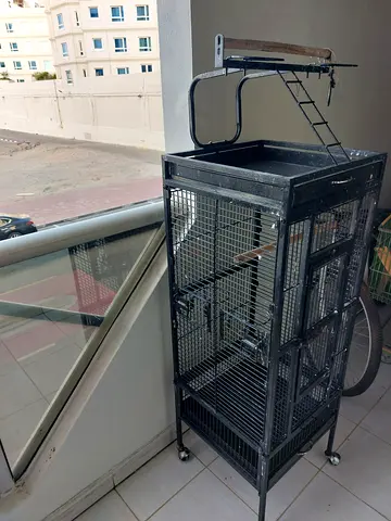 Parrot cage