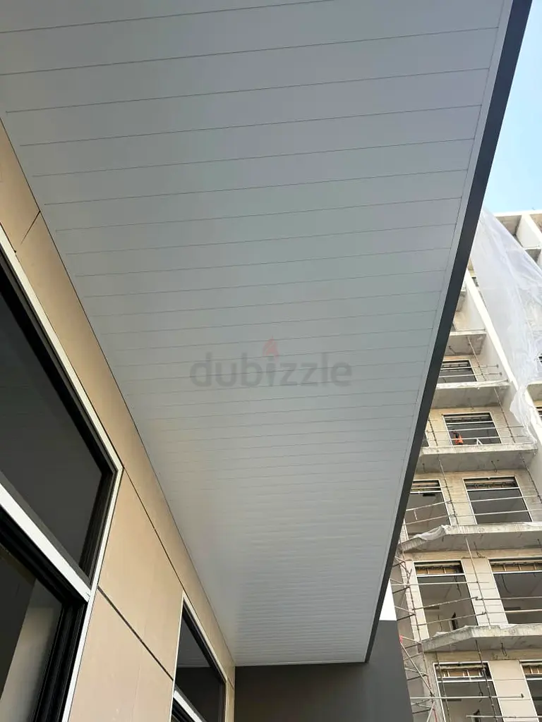 DPV_View_Image_3