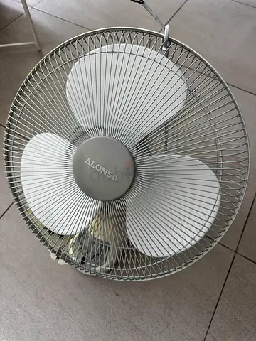 Fans