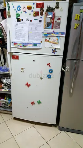 Dagwood refrigerator