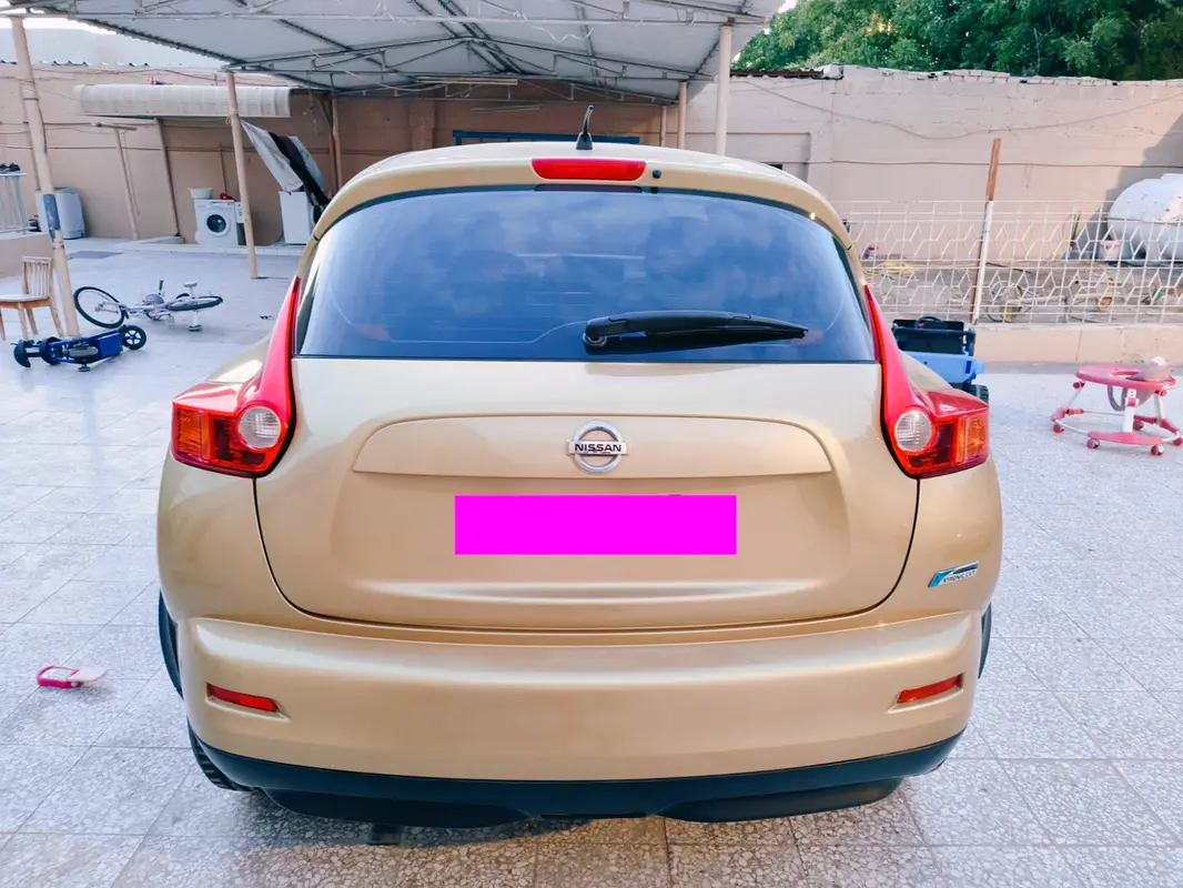 Nissan Juke 2014 — photo 1 of 11