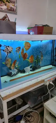 Aquarium for sale