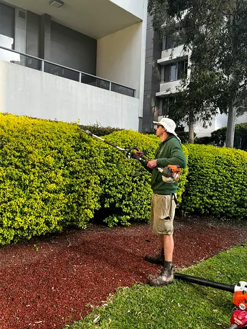 Garden Maintenance Works