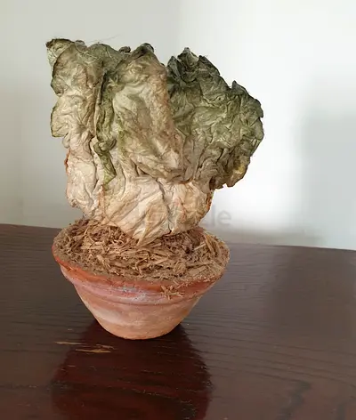 Small terracotta pot with an artificial iceberg lettuce