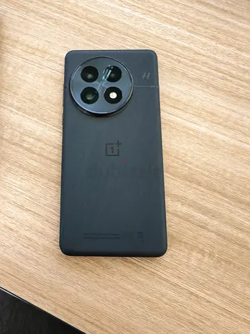 OnePlus 13