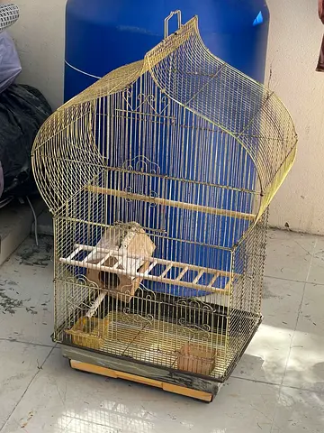 Used decorative bird cage with perches and feed trays