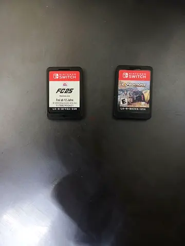 Two Nintendo Switch Game Cartridges — F-Zero-esque Racing  Action Game