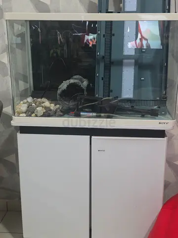 Glass Aquarium Tank with Cabinet Stand and Filtration System (Ready Setup)