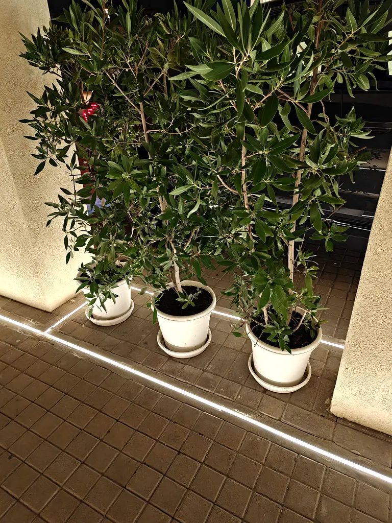 DPV_View_Image_1