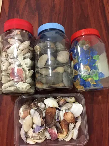 Mixed Shells, Pebbles and Decorative Glass Collection in Jars