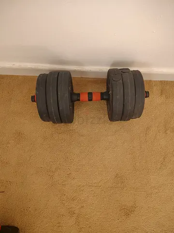 Pair of adjustable dumbbells with weight plates (used)