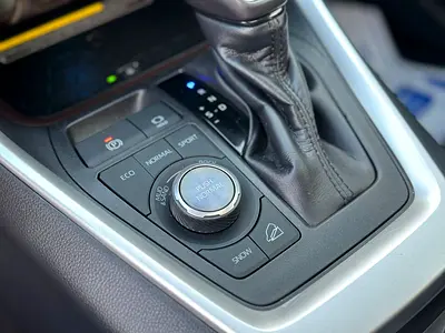 2019 Toyota RAV 4 thumbnail 12