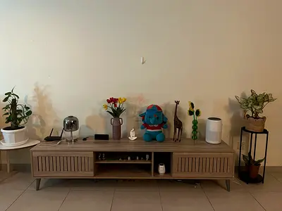 TV Entertainment Unit with Shelves and Closed Compartments