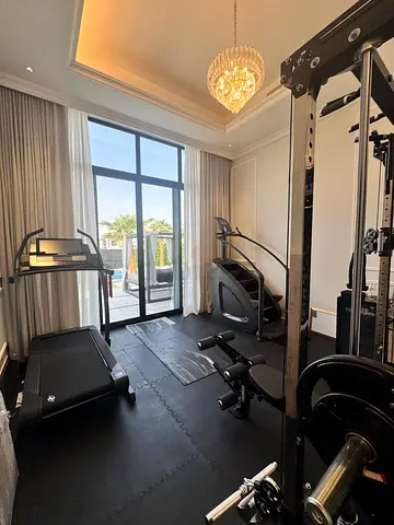 Gym threadmill and stepclimber for sale