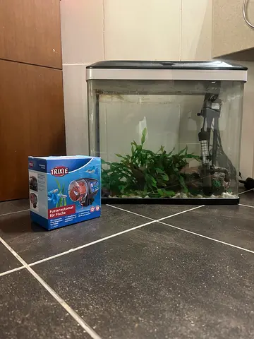 Fish tank