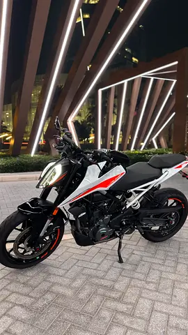 Duke 390 2022