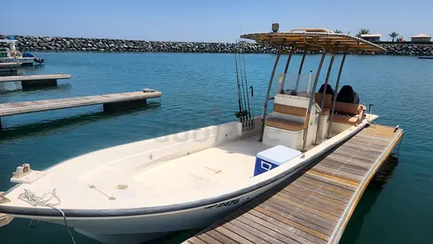 Twin Engine 27 ft Boat