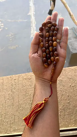 عجمان-الموهيات