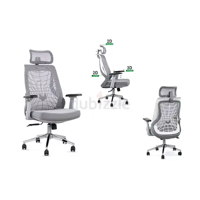 Ergonomic Mesh Office Chair with 3D Armrests  2D Adjustable Support (Grey)