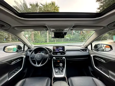 2019 Toyota RAV 4 thumbnail 13