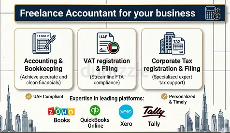 Freelance Accountant